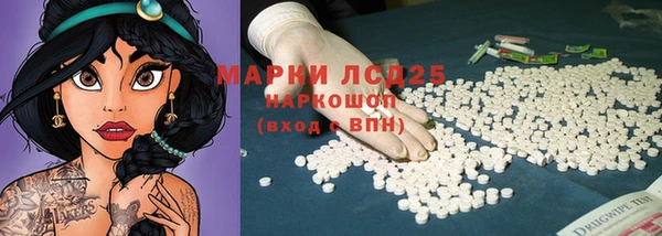 индика Алексин